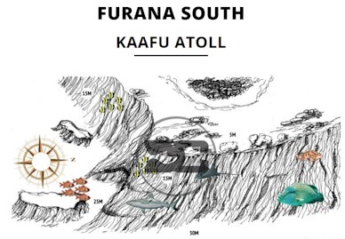 Furana South